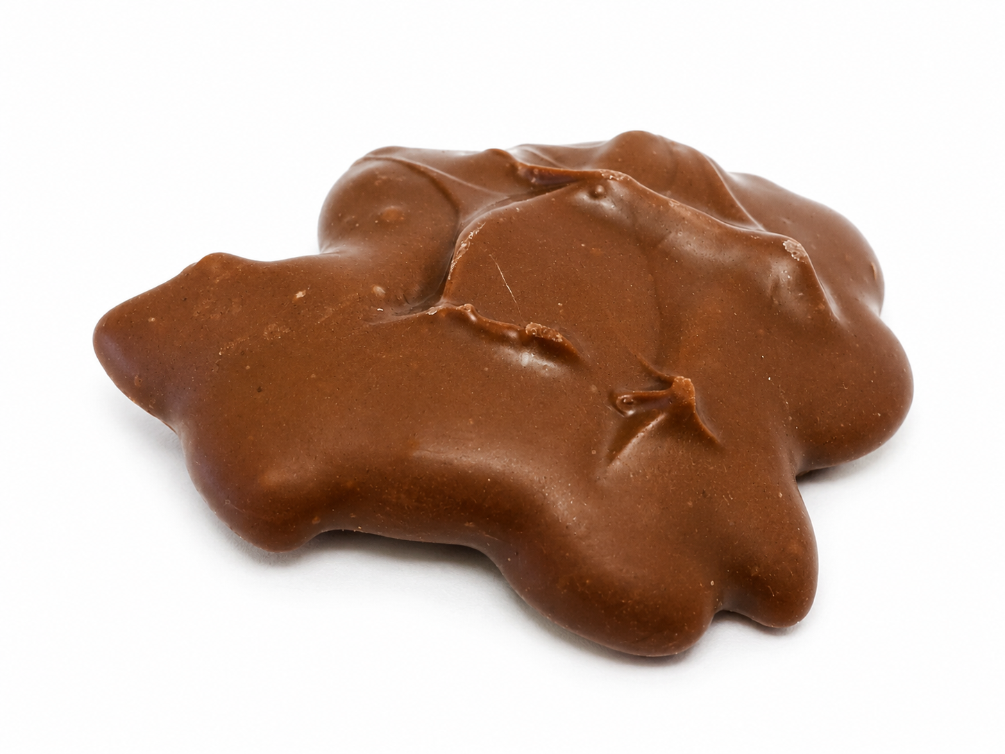 Cashew Turtle